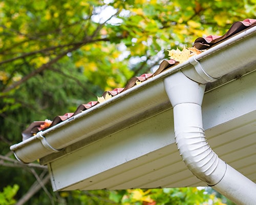 Gutter Cleaning